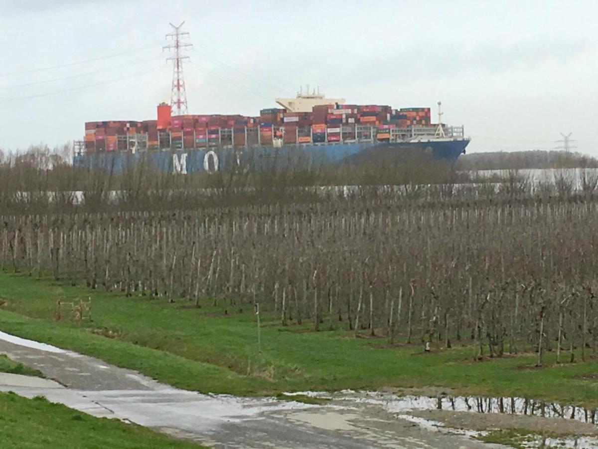Wohnen Im Alten Land Grünendeich 外观 照片