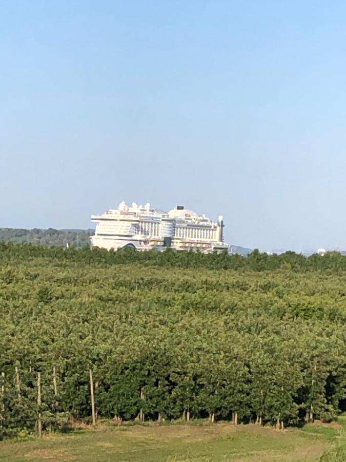 Wohnen Im Alten Land Grünendeich 外观 照片