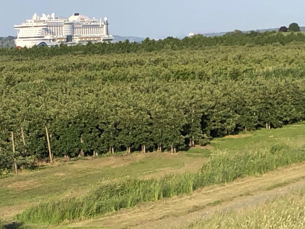 Wohnen Im Alten Land Grünendeich 外观 照片